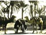 Masters greet each other effusively at a meeting on the edge of an oasis in Sinai. An early photograph.